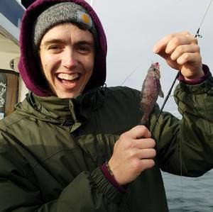 Meet your Posher, Owen